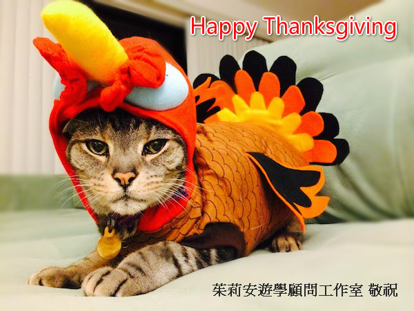 Thanksgiving-Turkey-Cat-Costume_meitu_1