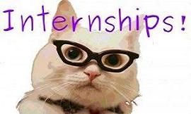 internships_cat-300x199